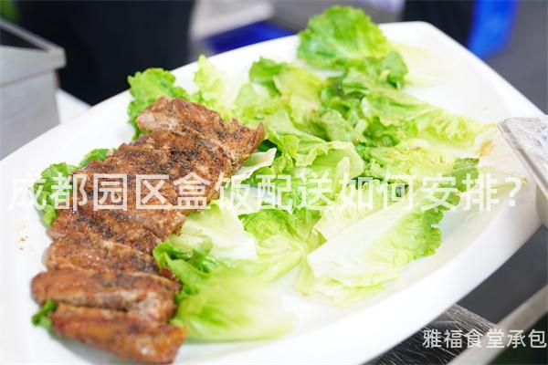 成都園區(qū)盒飯配送如何安排？
