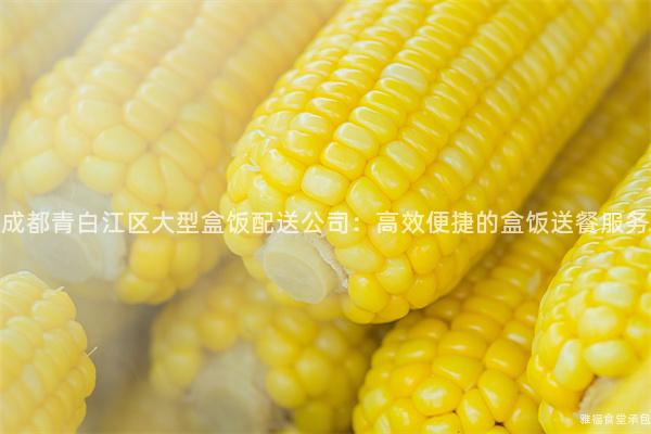成都青白江區(qū)大型盒飯配送公司：高效便捷的盒飯送餐服務(wù)