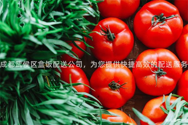 成都武侯區(qū)盒飯配送公司，為您提供快捷高效的配送服務(wù)