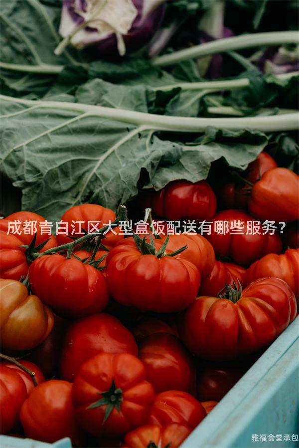 成都青白江區(qū)大型盒飯配送有哪些服務？