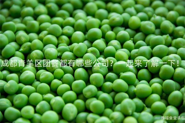 成都青羊區(qū)團(tuán)餐都有哪些公司？一起來了解一下！
