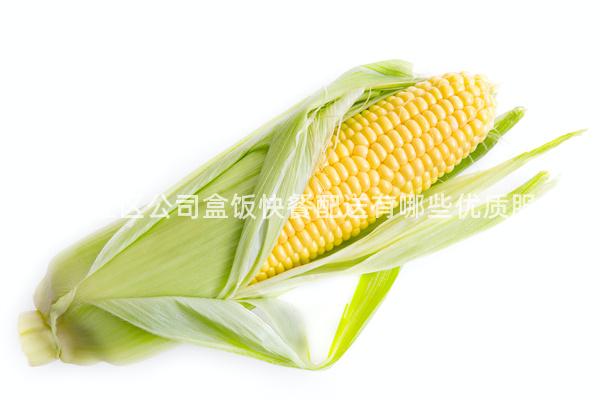 成都錦江區(qū)公司盒飯快餐配送有哪些優(yōu)質(zhì)服務(wù)？