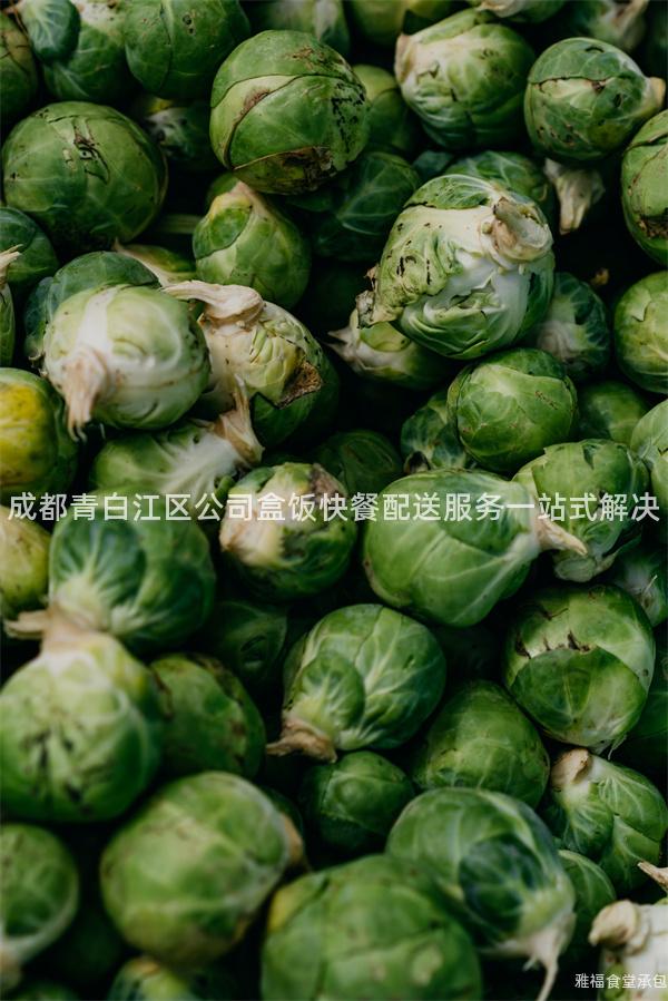 成都青白江區(qū)公司盒飯快餐配送服務(wù)一站式解決