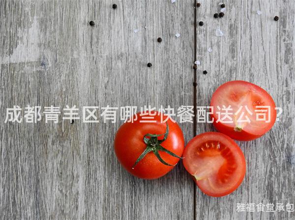 成都青羊區(qū)有哪些快餐配送公司？