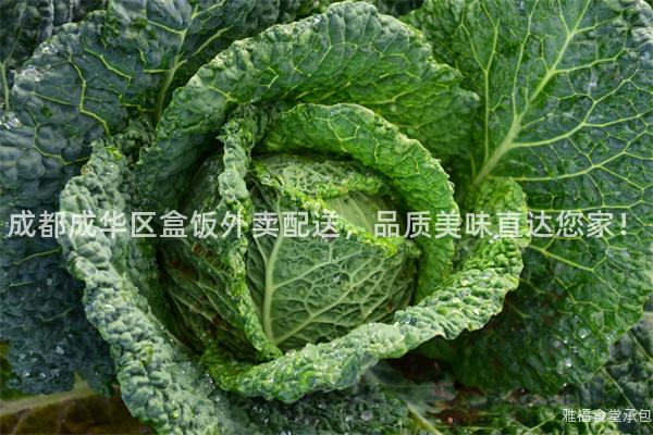 成都成華區(qū)盒飯外賣配送，品質(zhì)美味直達(dá)您家！