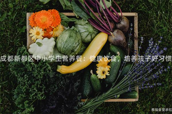 成都新都區(qū)中小學(xué)生營(yíng)養(yǎng)餐：健康飲食，培養(yǎng)孩子好習(xí)慣