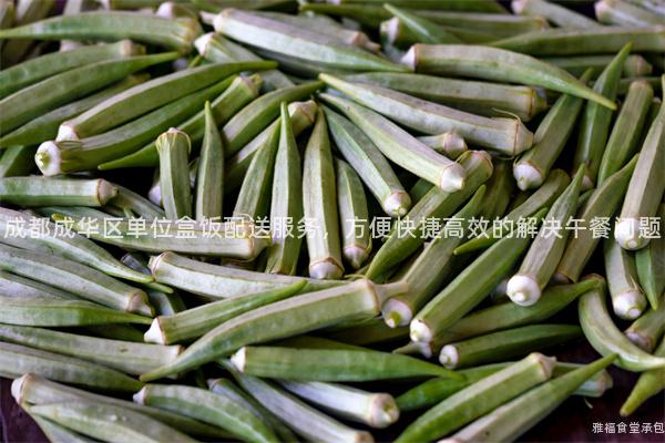 成都成華區(qū)單位盒飯配送服務(wù)，方便快捷高效的解決午餐問(wèn)題