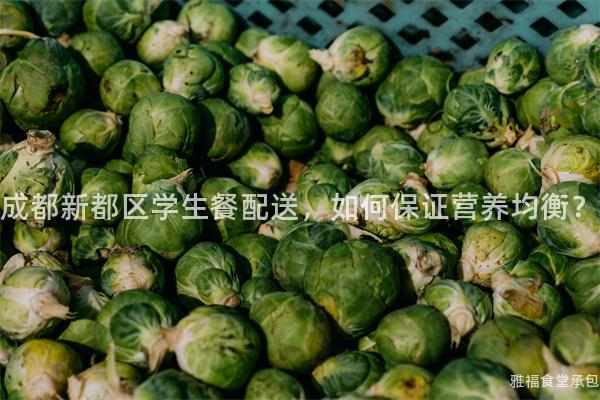 成都新都區(qū)學(xué)生餐配送，如何保證營養(yǎng)均衡？