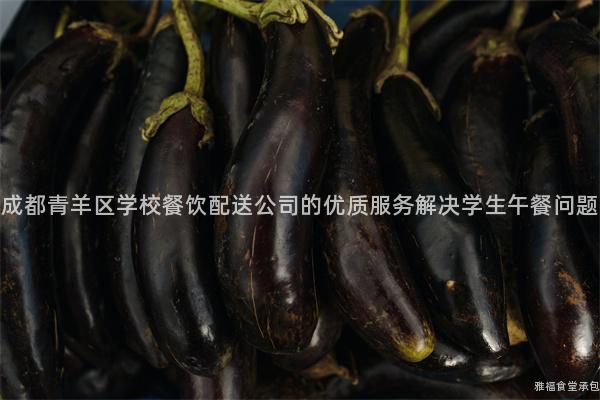成都青羊區(qū)學(xué)校餐飲配送公司的優(yōu)質(zhì)服務(wù)解決學(xué)生午餐問題