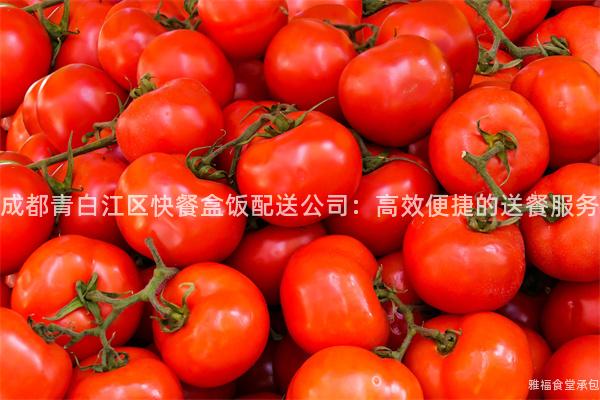 成都青白江區(qū)快餐盒飯配送公司：高效便捷的送餐服務(wù)