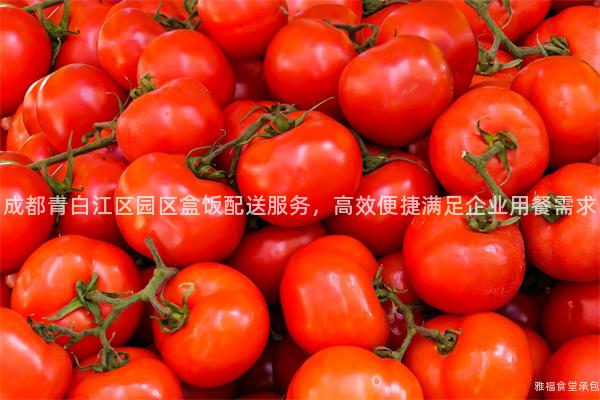 成都青白江區(qū)園區(qū)盒飯配送服務(wù)，高效便捷滿足企業(yè)用餐需求