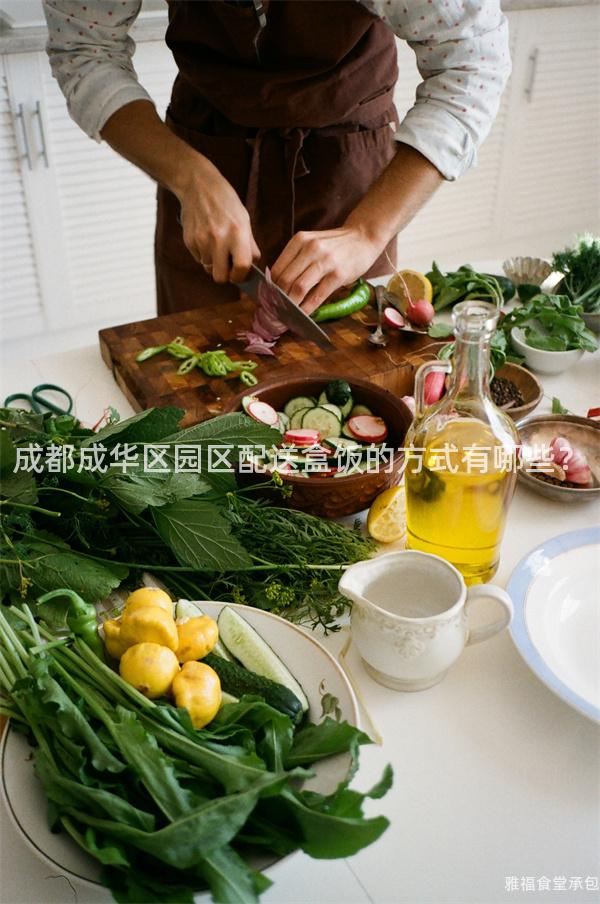 成都成華區(qū)園區(qū)配送盒飯的方式有哪些？