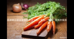 成都錦江區(qū)企業(yè)盒飯配送公司：專業(yè)、快捷、高效的服務(wù)