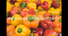 成都錦江區(qū)哪家公司提供盒飯外送服務(wù)？