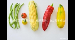 成都新都區(qū)高三營(yíng)養(yǎng)餐：健康營(yíng)養(yǎng)，助力高考成功！