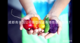 成都青羊區(qū)公司餐飲配送有哪些服務(wù)提供？
