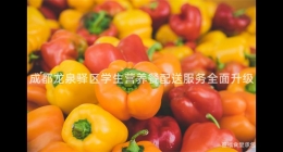 成都龍泉驛區(qū)學(xué)生營養(yǎng)餐配送服務(wù)全面升級(jí)