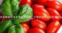 成都新都區(qū)學(xué)生餐配送服務(wù)：方便快捷的校園飲食供應(yīng)