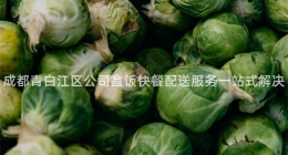 成都青白江區(qū)公司盒飯快餐配送服務(wù)一站式解決
