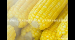 成都青白江區(qū)大型盒飯配送公司：高效便捷的盒飯送餐服務(wù)