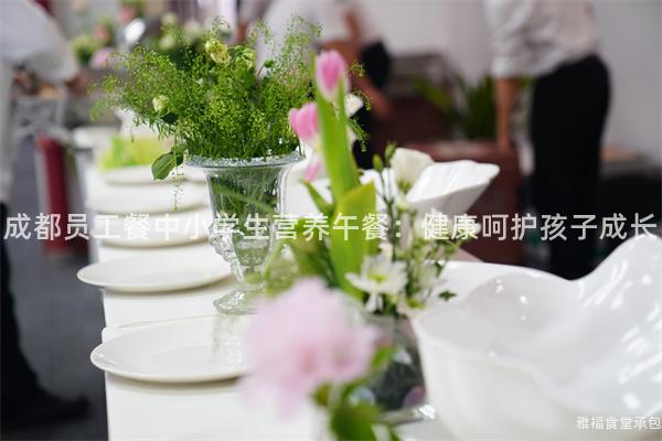 成都員工餐中小學(xué)生營養(yǎng)午餐：健康呵護(hù)孩子成長