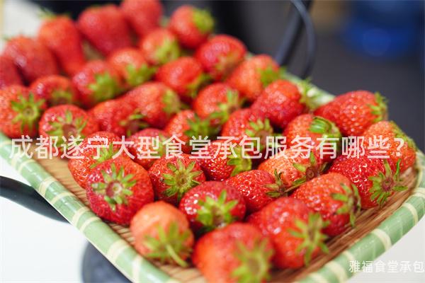 成都遂寧大型食堂承包服務(wù)有哪些？