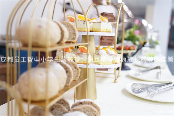 成都員工餐中小學生營養(yǎng)餐：滿足孩子健康成長的美味佳肴