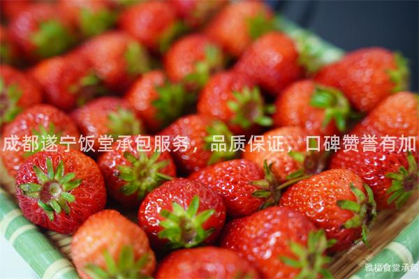 成都遂寧飯?zhí)贸邪?，品質保證，口碑贊譽有加