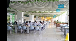 成都會議餐員工工作餐優(yōu)質(zhì)供應(yīng)，提升員工幸福感